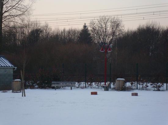 Sous la neige ( 17/02/2010)