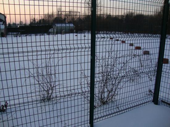 La neige recouvre tout
